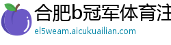合肥b冠军体育注册网站